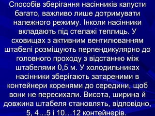 ССппооссооббіівв ззббееррііггаанннняя ннаассііннннииккіівв ккааппууссттии 
ббааггааттоо,, вваажжллииввоо ллиишшее ддооттррииммууввааттии 
ннааллеежжннооггоо рреежжииммуу.. ІІннккооллии ннаассііннннииккии 
ввккллааддааююттьь ппіідд ссттееллаажжіі ттееппллииццьь.. УУ 
ссххооввиищщаахх зз ааккттииввнниимм ввееннттииллюювваанннняямм 
шшттааббеелліі ррооззммііщщууююттьь ппееррппееннддииккуулляяррнноо ддоо 
ггооллооввннооггоо ппррооххооддуу зз ввііддссттааннннюю ммііжж 
шшттааббеелляяммии 00,,55 мм.. УУ ххооллооддииллььннииккаахх 
ннаассііннннииккии ззббееррііггааююттьь ззааттааррееннииммии вв 
ккооннттееййннееррии ккоорреенняяммии ддоо ссееррееддииннии,, щщообб 
ввооннии ннее ппеерреессииххааллии.. ВВииссооттаа,, шшииррииннаа йй 
ддооввжжииннаа шшттааббеелляя ссттааннооввлляяттьь,, ввііддппооввіідднноо,, 
55,, 44……55 іі 1100……1122 ккооннттееййннеерріівв.. 
 