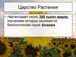 Царство Растения
• Насчитывает около 350 тысяч видов,350 тысяч видов,
изучением которых занимается
биологическая наука ботаникаботаника
 