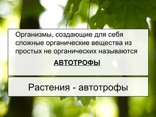 Организмы, создающие для себя
сложные органические вещества из
простых не органических называются
АВТОТРОФЫ
Растения - автотрофы
 