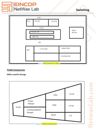 Switching
TCAM Components
SDM is used for Storage
Figure 3 MLS Switches Tables
Figure 4 TCAM Components
 