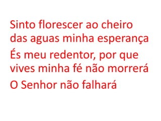 Sinto florescer ao cheiro
das aguas minha esperança
És meu redentor, por que
vives minha fé não morrerá
O Senhor não falhará
 