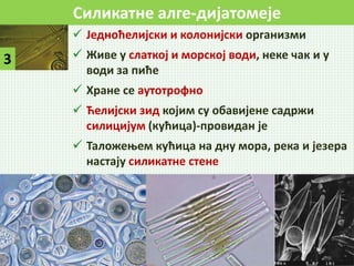 Силикатне алге-дијатомеје
3
 Једноћелијски и колонијски организми
 Живе у слаткој и морској води, неке чак и у
води за пиће
 Хране се аутотрофно
 Ћелијски зид којим су обавијене садржи
силицијум (кућица)-провидан је
 Таложењем кућица на дну мора, река и језера
настају силикатне стене
 