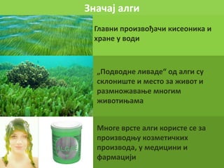 Значај алги
Главни произвођачи кисеоника и
хране у води
„Подводне ливаде“ од алги су
склониште и место за живот и
размножавање многим
животињама
Многе врсте алги користе се за
производњу козметичких
производа, у медицини и
фармацији
 