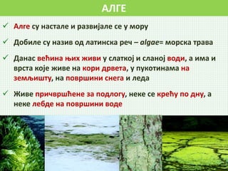 АЛГЕ
 Алге су настале и развијале се у мору
 Добиле су назив од латинска реч – algae= морска трава
 Данас већина њих живи у слаткој и сланој води, а има и
врста које живе на кори дрвета, у пукотинама на
земљишту, на површини снега и леда
 Живе причвршћене за подлогу, неке се крећу по дну, а
неке лебде на површини воде
 