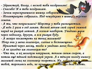 - Здравствуй, Белка, с весной тебя поздравляю!- Здравствуй, Белка, с весной тебя поздравляю!
- Спасибо! И я тебя поздравляю.- Спасибо! И я тебя поздравляю.
- Зачем нераскрывшиеся шишки собираешь?- Зачем нераскрывшиеся шишки собираешь?
- Позавтракать собралась. Под чешуйками в шишках вкусные- Позавтракать собралась. Под чешуйками в шишках вкусные
семена.семена.
- А ты, что покрасилась? Шерстка у тебя разноцветная.- А ты, что покрасилась? Шерстка у тебя разноцветная.
- Я ведь 2 раза в год линяю. Весной меняю свой серый зимний- Я ведь 2 раза в год линяю. Весной меняю свой серый зимний
наряд на рыжий летний. А осенью наоборот. Увидишь менянаряд на рыжий летний. А осенью наоборот. Увидишь меня
через недельку, другую, я вся рыжая буду.через недельку, другую, я вся рыжая буду.
- А можно посмотреть на твоих малышей?- А можно посмотреть на твоих малышей?
-Пока они у меня голенькие, слепые и беспомощные.Пока они у меня голенькие, слепые и беспомощные.
Прилетай через месяц, тогда и увидишь моих бельчат.Прилетай через месяц, тогда и увидишь моих бельчат.
- А не холодно им голеньким-то?- А не холодно им голеньким-то?
- Что ты, я их молоком накормлю, теплом своим согрею, а- Что ты, я их молоком накормлю, теплом своим согрею, а
потом ещё тёплой подстилкой укрою. А в тёплую погоду вынесупотом ещё тёплой подстилкой укрою. А в тёплую погоду вынесу
малышей своих на солнышко погреться. Ну, заболталась я смалышей своих на солнышко погреться. Ну, заболталась я с
тобой, тороплюсь ведь, не привыкла я долго без дела сидеть.тобой, тороплюсь ведь, не привыкла я долго без дела сидеть.
 
