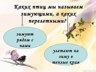 Каких птиц мы называемКаких птиц мы называем
зимующими, а какихзимующими, а каких
перелетными?перелетными?
зимуютзимуют
рядом срядом с
наминами
улетают на
зиму в
теплые края
 