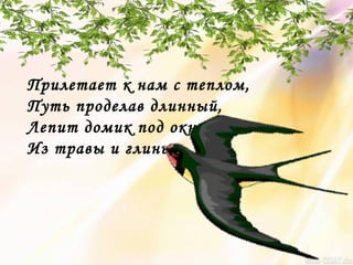 Прилетает к нам с теплом,
Путь проделав длинный,
Лепит домик под окном
Из травы и глины.
 