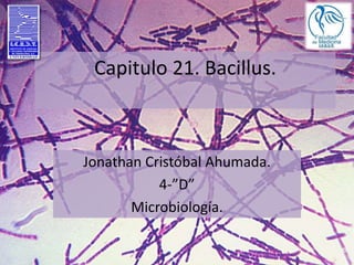 Capitulo 21. Bacillus.
Jonathan Cristóbal Ahumada.
4-”D”
Microbiología.
 