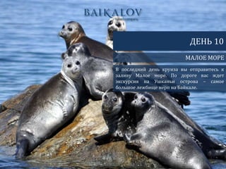МАЛОЕ МОРЕ
ДЕНЬ 10
В последний день круиза вы отправитесь к
заливу Малое море. По дороге вас ждет
экскурсия на Ушканьи острова – самое
большое лежбище нерп на Байкале.
 