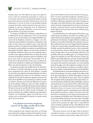 U N I DAD C U AT R 0 • Evoluci6n diversidad
~------------------------------~---------------------------------------------------~
bonifero (hace 363-290 millones de aiios). Por aquel en-
tonces, todos los continentes principales se unieron en
una enorme masa de tierra, denominada Pangea. Grandes
partes de 10 que hoy es Eurasia, Norteamerica, el norte de
Sudamerica y el norte de Africa se encontraban bastante
cercanas al ecuador, mucho mas hacia el sur que en la ac-
tualidad. Lo que hoy comprende el sur de Sudamerica,
Africa del Sur, Australia, Antartida y el norte de Asia era
glaciar, debido a la cercania a los polos.
Al comparar el follaje de los bosques carboniferos con
la informaci6n de que disponemos acerca de las plantas
modernas, nos encontrariamos con antiguos Bri6fitos (an-
cestros de las hepaticas, antoceros y musgos). Las Gim-
nospermas apenas habian comenzado a evolucionar yeran
cada vez mas comunes en regiones secas y altas, pero las
plantas con flores no surgirian hasta 200 ailos despues. Por
el contrario, eran las plantas vasculares sin semillas las que
dominaban el paisaje. Algunas nos parecerian similares a
los helechos modernos, pero otras nos resultarian desco-
nocidas, como algunos arboles altos con hojas de mas de
un metro de longitud. Seriamos capaces de clasificar unas
pocas, pero otras no aparecerian mencionadas en la in-
formaci6n traida del presente. Entre tanto, no habria ani-
males como mamiferos 0 reptiles, pero abundarian los an-
fibios, asi como los insectos y otros invertebrados.
Las plantas vasculares sin semillas fueron las dominan-
tes durante el Periodo Carbonifero, porque encontraron
poca competencia por parte de otras plantas, y porque
credan bien en las regiones tropicales hllmedas con abun-
dantes precipitaciones. Junto con los Bri6fitos (vease el
Capitulo 20), fueron los primeros vegetales terrestres. Di-
ferian de los Bri6fitos en que poseian un sistema vascular
con xilema y floema, pero eran muy diferentes a la mayo-
ria de las plantas modernas, pues no tenian semillas ni
flores. Las grandes cantidades de biomasa que produjeron
formaron una parte considerable de los extensos dep6si-
tos de carb6n, de ahi el nombre Periodo Carbonifero. Las
plantas vasculares sin semillas modernas, que fundamen-
talmente son los helechos, siguen creciendo bien en sus
medios, pero su diversidad de especies es mucho menor
que la de sus ancestros.
Las plantas terrestres surgieron
a partir de las algas verdes de la clase
Charophyceae
Al10ra imaginemos que viajamos mas atras en el tiempo
para explorar los antiguos origenes de las plantas vascula-
res sin semillas. Nos encontrariamos en medio de un pai-
saje de 450 millones de afios atras, durante el Periodo Si-
lurico. La tierra estaria libre de plantas 0 animales, pero en
los lagos de agua dulce poco profundos, asi como en los al-
rededores, habitarian organismos parecidos a las plantasy
a las algas. Seria dificil clasificar estos organismos ramifi-
cados y sin hojas, de generalmente unos pocos centimetros
de altura y nunca de mas de un metro. Estariamos obser-
vando algunas de las primeras fases de la evoluci6n de las
plantas terrestres.
Los paleobotanicos no estan seguros del modo en que
evolucionaron las plantas vasculares sin semillas, pues el
registro f6sil esta incompleto, tanto geografica como tem-
poralmente. No obstante, el registro f6sil, los estudios mo-
leculares y las pruebas obtenidas de las plantas vivas pue-
den combinarse para crear una imagen bastante coherente.
Conforme a estas pruebas, los paleobotanicos opinan que
el tejido vascular, la epidermis cerosa y otras caracteristi-
cas evolucionaron durante millones de aiios en las algas
verdes de agua dulce, 10 que les permiti6 sobrevivir a los
periodos en los que no habia agua. Con el tiempo, fueron
capaces de completar su ciclo vital en la tierra, siempre que
hubiera agua disponible para permitir al espermatozoide
nadar hasta las ovocelulas. Deben de haber existido algu-
nas especies de transici6n fascinantes, con caracteristicas
tanto de las algas como de las plantas vasculares sin semi-
llas. Por ende, las plantas vasculares sin semillas evolucio-
naron por si solas, compartiendo la tierra con los Bri6fitos.
Los paleobotanicos manejan la hip6tesis de que la evo-
luci6n de las plantas terrestres a partir de las algas verdes
de la clase Charophyceae, del filo Chlorophyta, comenz6
hace 700 y 450 millones de aiios atras (vease el Capitulo
20). El registro f6sil actual apoya la fecha mas tardia, a te-
nor de los primeros f6siles parciales de Bri6fitos, mientras
que los datos de las secuencias de ADN yARN en las plan-
tas y algas vivas secundan la fecha mas antigua. Los pale-
obotanicos buscan de manera activa nuevos f6siles que
puedan completar nuestro conocimiento acerca del origen
de las plantas vasculares, y reducir asi el vado entre all1-
bas fechas. Ciertamente, por la epoca de los primeros f6-
siles completos de Bri6fitos (hace 360 millones de aiios) y
los primeros f6siles de plantas vasculares (hace 430 millo-
nes de aiios), ya se habia dado una evoluci6n considerable
a partir de los ancestros de algas. Esto es especialmente
cierto si la fecha molecular de hace 700 millones de aiioS,
basada en un estudio de secuencias de 119 proteinas, es co-
rrecta.
Numerosas especies vivas de algas verdes se parecen a
una planta terrestre 0 a otra, aunque los ancestros direc-
tos se han extinguido. En particular, el alga verde Chara es
 
