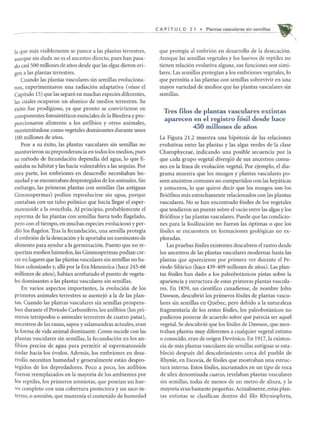 la que mas visiblemente se parece a las plantas terrestres,
aunque sin duda no es el ancestro directo, pues han pasa-
do casi 500 millones de afios desde que las algas dieron ori-
gen a las plantas terrestres.
Cuando las plantas vasculares sin semillas evoluciona-
ron, experimentaron una radiaci6n adaptativa (vease el
Capitulo 15) que las separ6 en muchas especies diferentes,
las cuales ocuparon un abanico de medios terrestres. Su
exito fue prodigioso, ya que pronto se convirtieron en
componentes fotosinteticos esenciales de la Biosfera y pro-
porcionaron alimento a los anfibios y otros animales,
manteniendose como vegetales dominantes durante unos
100 millones de afios.
Pese a su exito, las plantas vasculares sin semillas no
mantuvieron su preponderancia en todos los medios, pues
su metodo de fecundaci6n dependia del agua, 10 que li-
mitaba su habitat y las hacia vulnerables a las sequias. Por
otra parte, los embriones en desarrollo necesitaban hu-
medad y se encontraban desprotegidos de los animales. Sin
embargo, las primeras plantas con semillas (las antiguas
Gimnospermas) podian reproducirse sin agua, porque
contaban con un tubo polinico que hacia liegar el esper-
matozoide a la ovocelula. AI principio, probablemente el
esperma de las plantas con semillas fuera todo flagelado,
pero con el tiempo, en muchas especies evolucion6 y per-
di6 los flagelos. Tras la fecundaci6n, una semilla protegia
el embri6n de la desecaci6n y Ie aportaba un suministro de
alimento para ayudar a la germinaci6n. Puesto que no re-
querian medios humedos, las Gimnospermas podian cre-
cer en lugares que las plantas vasculares sin semillas no ha-
blan colonizado y, alIa por la Era Mesozoica (hace 245-66
millones de afios), habian arrebatado el puesto de vegeta-
les dominantes a las plantas vasculares sin semillas.
En varios aspectos importantes, la evoluci6n de los
primeros animales terrestres se asemej6 a la de las plan-
tas. Cuando las plantas vasculares sin semillas prospera-
ban durante el Periodo Carbonifero, los anfibios (los pri-
meros tetrapodos 0 animales terrestres de cuatro patas),
ancestros de las ranas, sapos y salamandras actuales, eran
la forma de vida animal dominante. Como sucede con las
plantas vasculares sin semillas, la fecundaci6n en los an-
fibios precisa de agua para permitir al espermatozoide
nadar hacia los 6vulos. Ademas, los embriones en desa-
rrollo necesitan humedad y generalmente estan despro-
tegidos de los depredadores. Poco a poco, los anfibios
fueron reemplazados en la mayoria de los ambientes por
los reptiles, los primeros amniotas, que poseian un hue-
vo completo con una cobertura protectora y un saco in-
terno,o amni6n, que mantenia el contenido de humedad
CAP f T U L 0 2 1 • Plantas vasculares sin semillas
que protegia al embri6n en desarrollo de la desecaci6n.
Aunque las semillas vegetales y los huevos de reptiles no
tienen relaci6n evolutiva alguna, sus funciones son simi-
lares. Las semillas protegian a los embriones vegetales, 10
que permitia a las plantas con semillas sobrevivir en una
mayor variedad de medios que las plantas vasculares sin
semillas.
Tres filos de plantas vasculares extintas
aparecen en el registro fosil desde hace
430 millones de anos
La Figura 21.2 muestra una hip6tesis de las relaciones
evolutivas entre las plantas y las algas verdes de la clase
Charophyceae, indicando una posible secuencia por la
que cada grupo vegetal divergi6 de sus ancestros comu-
nes en la linea de evoluci6n vegetal. Por ejemplo, el dia-
grama muestra que los musgos y plantas vasculares po-
seen ancestros comunes no compartidos con las hepaticas
y antoceros, 10 que quiere decir que los musgos son los
Bri6fitos mas estrechamente relacionados con las plantas
vasculares. No se han encontrado f6siles de los vegetales
que tendieron un puente sobre el vacio entre las algas y los
Bri6fitos y las plantas vasculares. Puede que las condicio-
nes para la fosilizaci6n no fueran las 6ptimas 0 que los
f6siles se encuentren en formaciones geol6gicas no ex-
ploradas.
Las pruebas f6siles existentes descubren el rastro desde
los ancestros de las plantas vasculares modernas hasta las
plantas que aparecieron por primera vez durante el Pe-
riodo Silurico (hace 439-409 millones de afios). Las plan-
tas f6siles han dado a los paleobotanicos pistas sobre la
apariencia y estructura de estas primeras plantas vascula-
res. En 1859, un cientlfico canadiense, de nombre John
Dawson, descubri610s primeros f6siles de plantas vascu-
lares sin semillas en Quebec, pero debido a la naturaleza
fragmentaria de los restos f6siles, los paleobotanicos no
pudieron ponerse de acuerdo sobre que parecia ser aquel
vegetal. Se descubri6 que los f6siles de Dawson, que mos-
traban plantas muy diferentes a cualquier vegetal extinto
o conocido, eran de origen Dev6nico. En 1917, la existen-
cia de mas plantas vasculares sin semillas antiguas se esta-
bleci6 despues del descubrimiento cerca del pueblo de
Rhynie, en Escocia, de f6siles que mostraban una estruc-
tura interna. Estos f6siles, incrustados en un tipo de roca
de silex denominada cuarzo, revelaban plantas vasculares
sin semillas, todas de menos de un metro de altura, y la
mayoria eran bastante pequefias. Actualmente, estas plan-
tas extintas se clasifican dentro del filo Rhyniophyta,

 