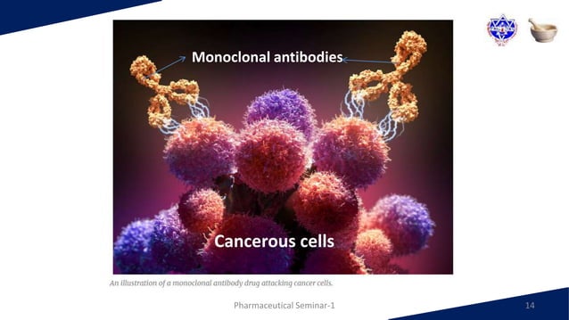 Monoclonal Antibodies for Cancer Treatment | PPTX