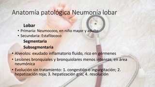 Anatomía patológica Neumonía lobar
Lobar
• Primaria: Neumococo, en niño mayor y adulto
• Secundaria: Estafilococo
Segmentaria
Subsegmentaria
• Alveolos: exudado inflamatorio fluido, rico en gérmenes
• Lesiones bronquiales y bronquiolares menos intensas, en área
neumónica
• Evolución sin tratamiento: 1. congestión o ingurgitación; 2.
hepatización roja; 3. hepatización gris; 4. resolución
 