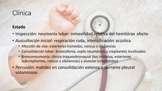 Clínica
Estado
• Inspección: neumonía lobar: inmovilidad relativa del hemitórax afecto
• Auscultación inicial: respiración ruda, intensificación acústica
• Afección de vías: estertores húmedos, roncus o sibilancias
• Consolidación lobar: broncofonía, soplo neumónico y crepitantes localizados
• Bronconeumonía: clínica traqueobronquial (tos irritativa, estertores
subcrepitantes, roncus y sibilancias) y alveolar (crepitantes)
• Percusión: matidez en consolidación extensa o derrame pleural
voluminoso
 
