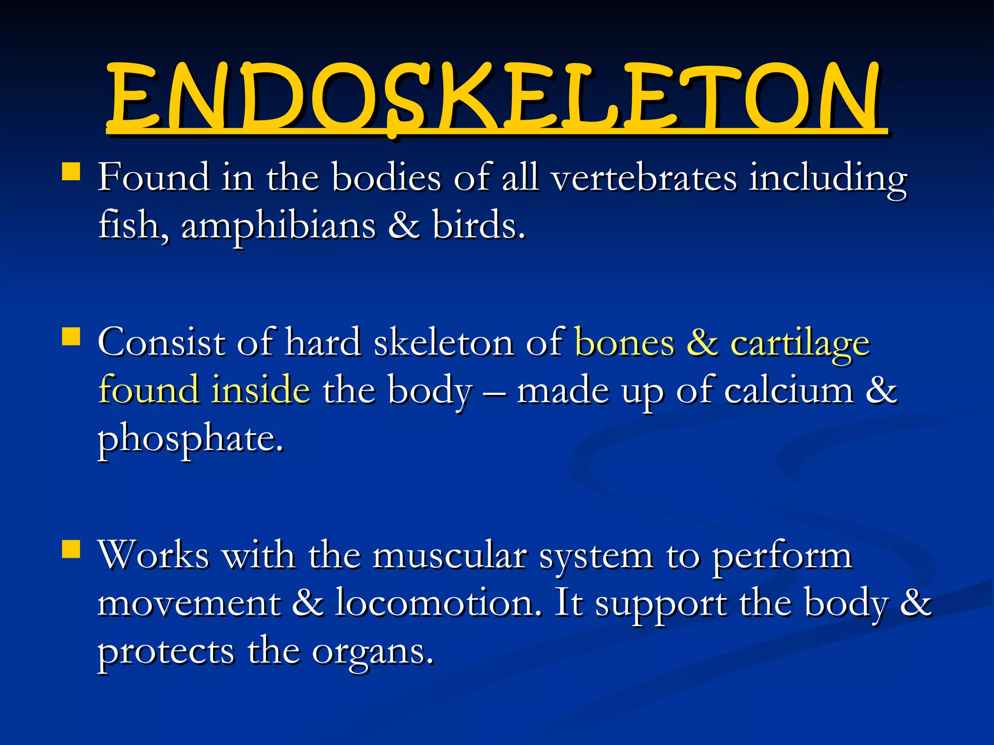 ENDOSKELETON
   Found in the bodies of all vertebrates including
    fish, amphibians & birds.

   Consist of hard skeleton of bones & cartilage
    found inside the body – made up of calcium &
    phosphate.

   Works with the muscular system to perform
    movement & locomotion. It support the body &
    protects the organs.
 