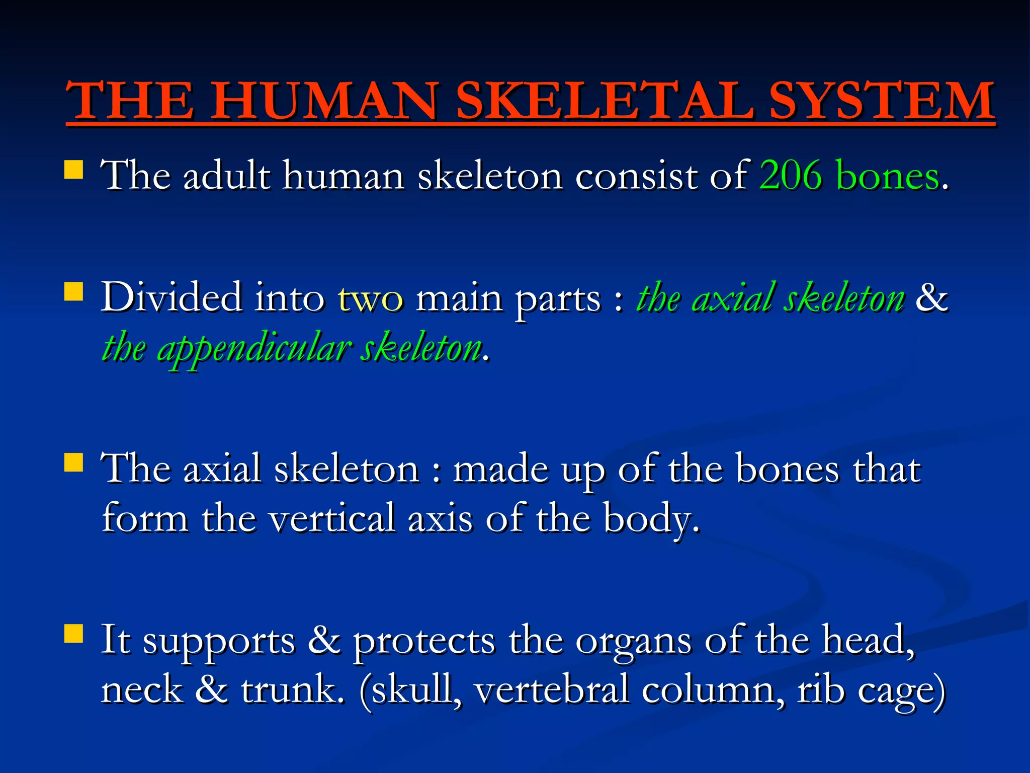 THE HUMAN SKELETAL SYSTEM
   The adult human skeleton consist of 206 bones.

   Divided into two main parts : the axial skeleton &
    the appendicular skeleton.

   The axial skeleton : made up of the bones that
    form the vertical axis of the body.

   It supports & protects the organs of the head,
    neck & trunk. (skull, vertebral column, rib cage)
 