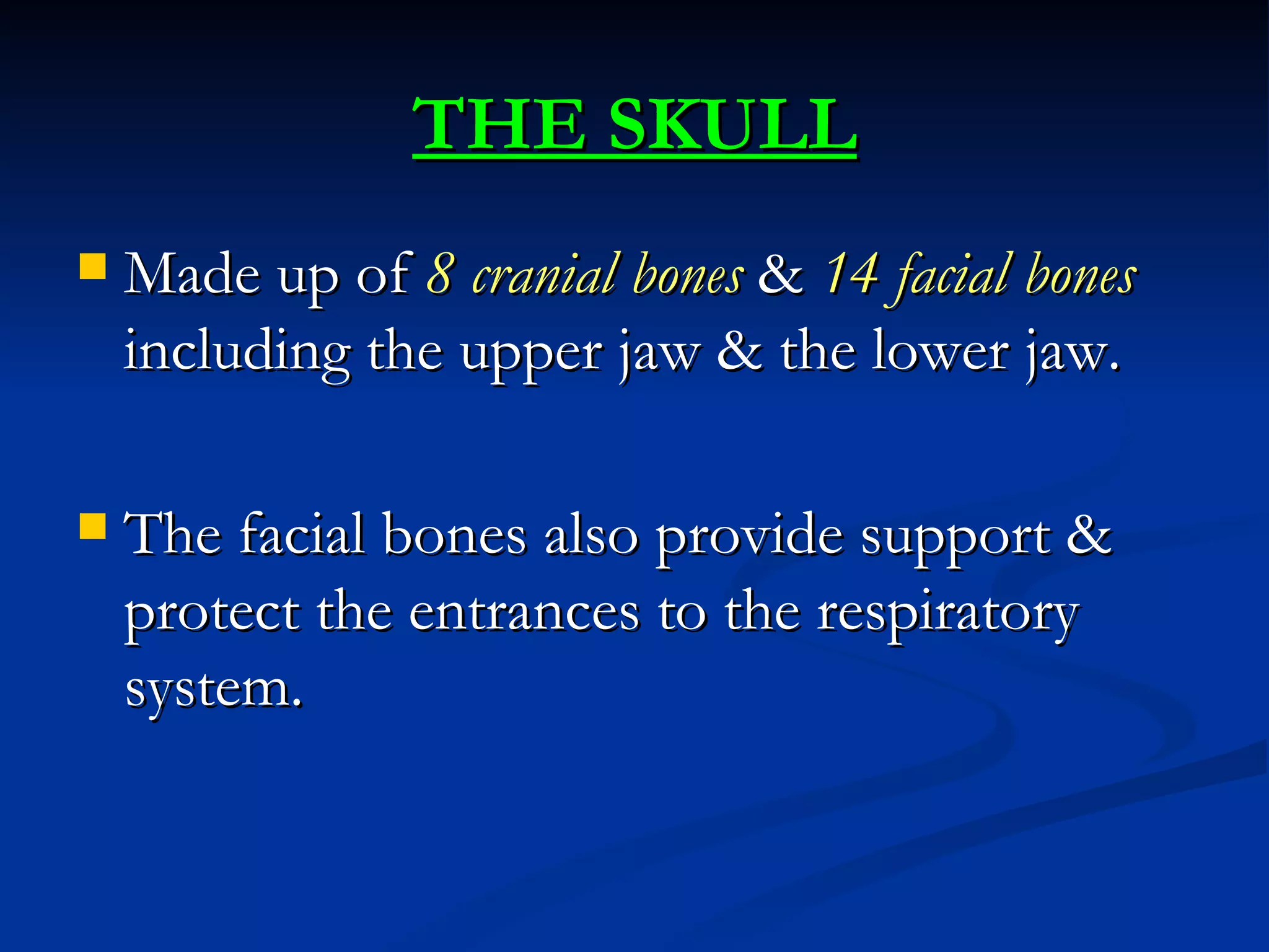 THE SKULL
   Made up of 8 cranial bones & 14 facial bones
    including the upper jaw & the lower jaw.

   The facial bones also provide support &
    protect the entrances to the respiratory
    system.
 