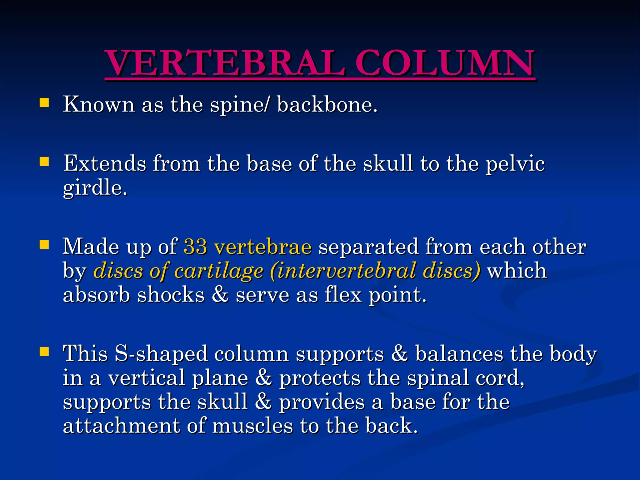 VERTEBRAL COLUMN
   Known as the spine/ backbone.

   Extends from the base of the skull to the pelvic
    girdle.

   Made up of 33 vertebrae separated from each other
    by discs of cartilage (intervertebral discs) which
    absorb shocks & serve as flex point.

   This S-shaped column supports & balances the body
    in a vertical plane & protects the spinal cord,
    supports the skull & provides a base for the
    attachment of muscles to the back.
 