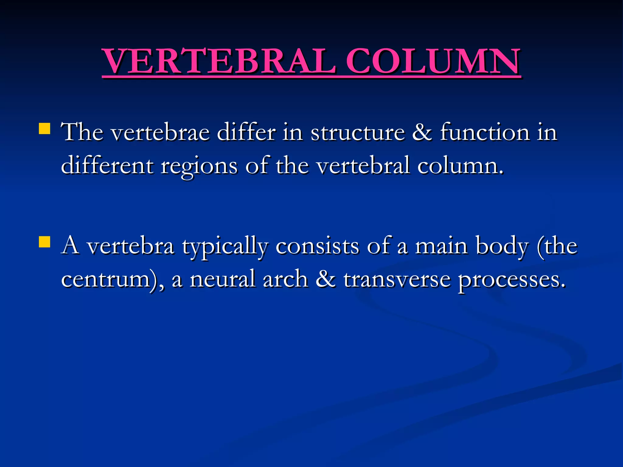VERTEBRAL COLUMN
   The vertebrae differ in structure & function in
    different regions of the vertebral column.

   A vertebra typically consists of a main body (the
    centrum), a neural arch & transverse processes.
 
