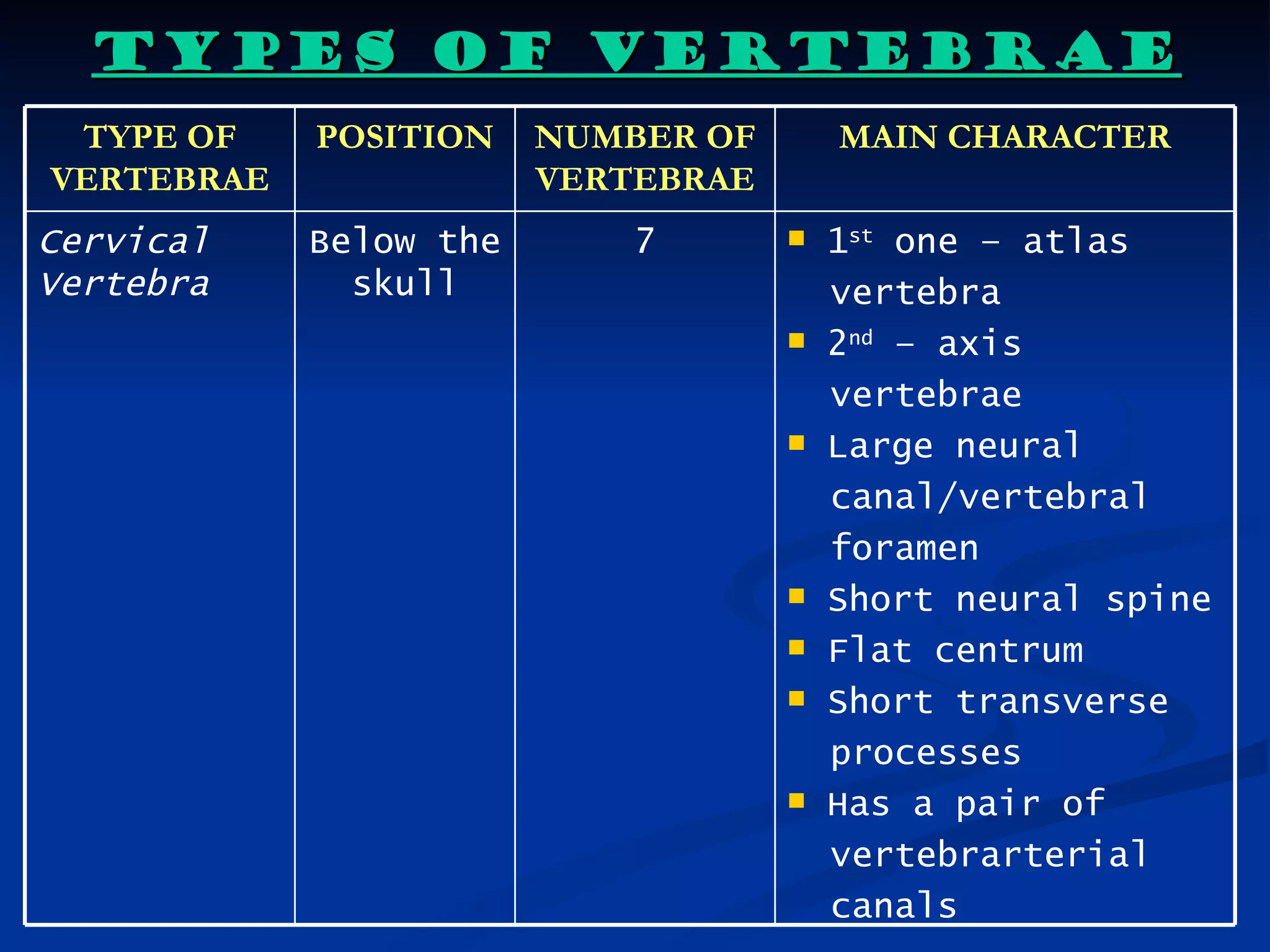TYPES OF VERTEBRAE
 TYPE OF    POSITION    NUMBER OF       MAIN CHARACTER
VERTEBRAE               VERTEBRAE
Cervical    Below the       7          1st one – atlas
Vertebra      skull                     vertebra
                                       2nd – axis
                                        vertebrae
                                       Large neural
                                        canal/vertebral
                                        foramen
                                       Short neural spine
                                       Flat centrum
                                       Short transverse
                                        processes
                                       Has a pair of
                                        vertebrarterial
                                        canals
 