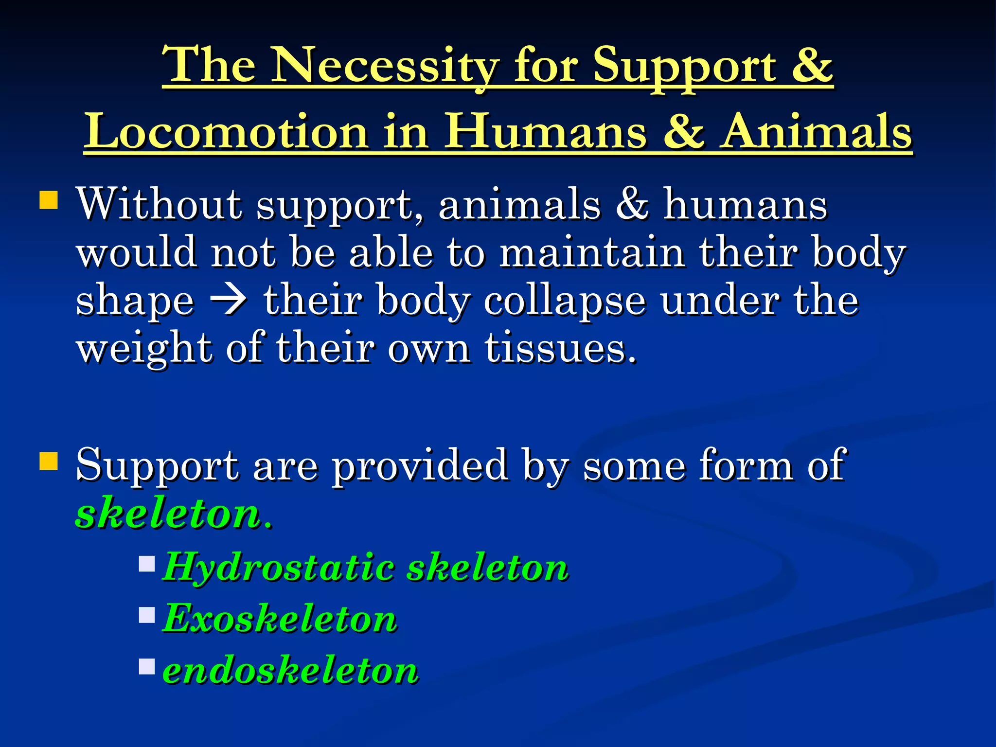 The Necessity for Support &
    Locomotion in Humans & Animals
   Without support, animals & humans
    would not be able to maintain their body
    shape  their body collapse under the
    weight of their own tissues.

   Support are provided by some form of
    skeleton.
       Hydrostatic   skeleton
       Exoskeleton
       endoskeleton
 