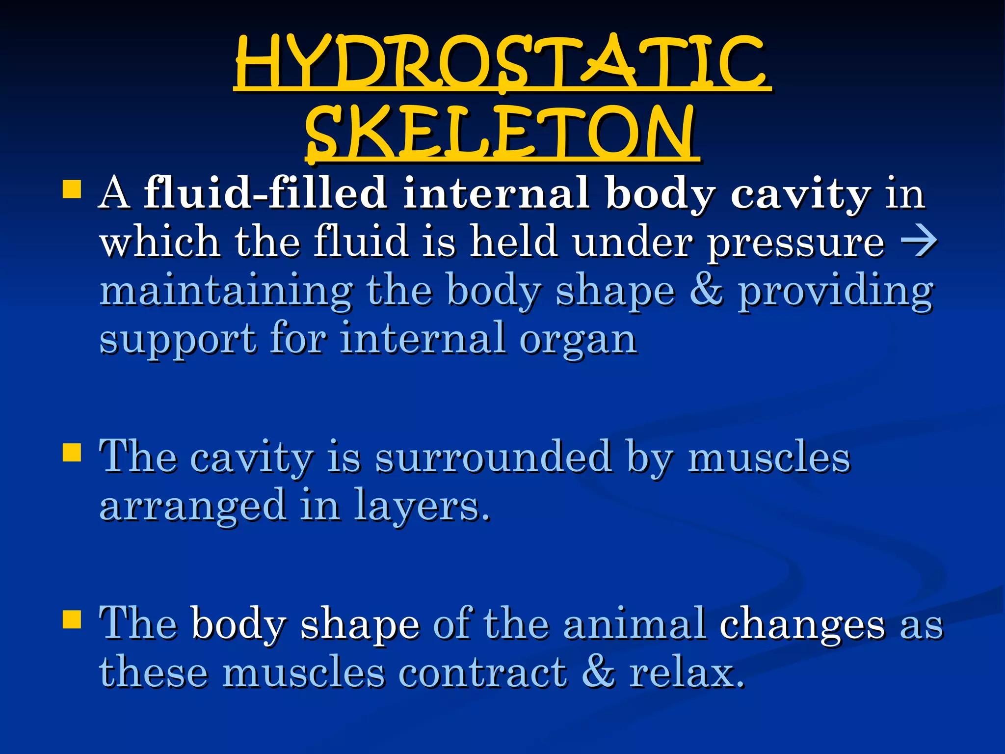 HYDROSTATIC
           SKELETON
   A fluid-filled internal body cavity in
    which the fluid is held under pressure 
    maintaining the body shape & providing
    support for internal organ

   The cavity is surrounded by muscles
    arranged in layers.

   The body shape of the animal changes as
    these muscles contract & relax.
 