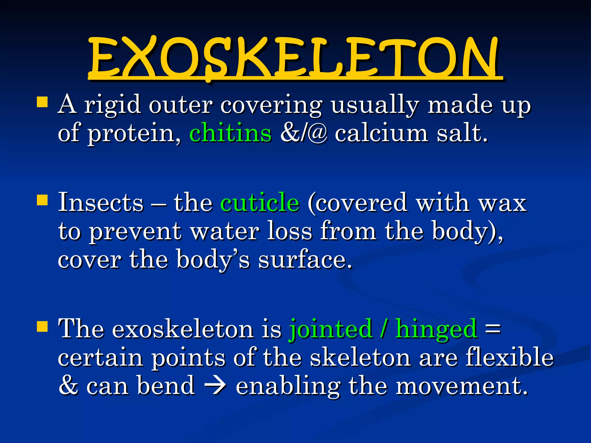 EXOSKELETON
   A rigid outer covering usually made up
    of protein, chitins &/@ calcium salt.

   Insects – the cuticle (covered with wax
    to prevent water loss from the body),
    cover the body’s surface.

   The exoskeleton is jointed / hinged =
    certain points of the skeleton are flexible
    & can bend  enabling the movement.
 