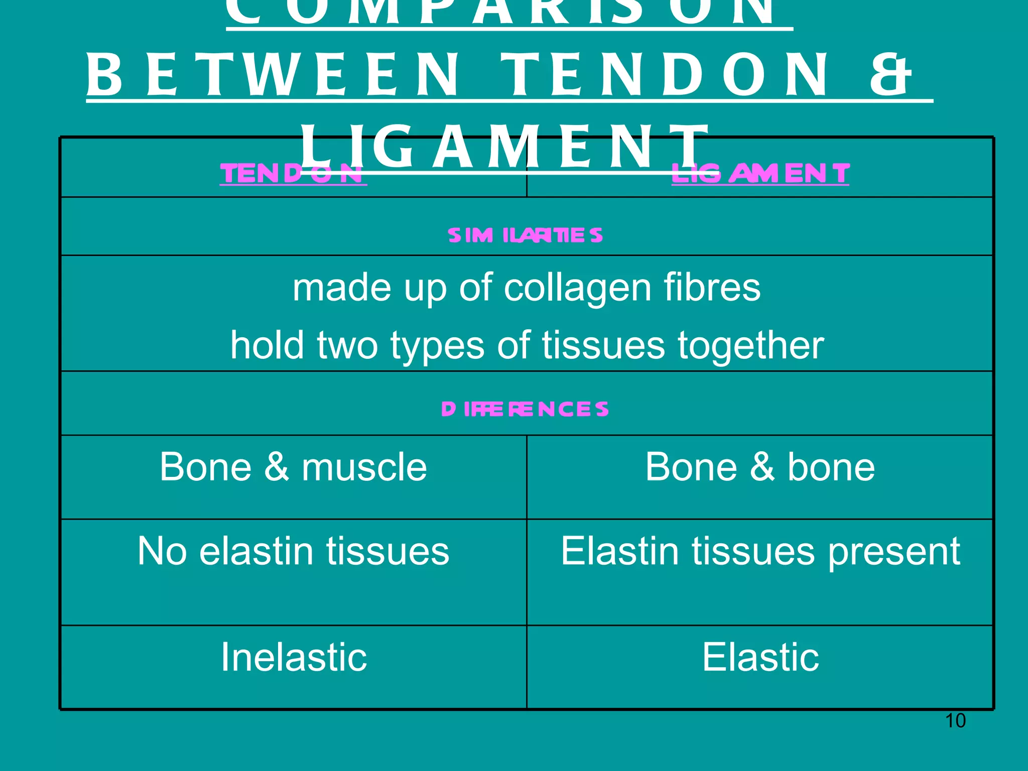 C O M P A R IS O N
B E TWE E N TE N D O N &
    TENDL N G A M E N T
        OI            LIGAM ENT
                  sim ilarities
         made up of collagen fibres
      hold two types of tissues together
                  d ifferences
  Bone & muscle              Bone & bone

 No elastin tissues     Elastin tissues present

     Inelastic                  Elastic
                                              10
 