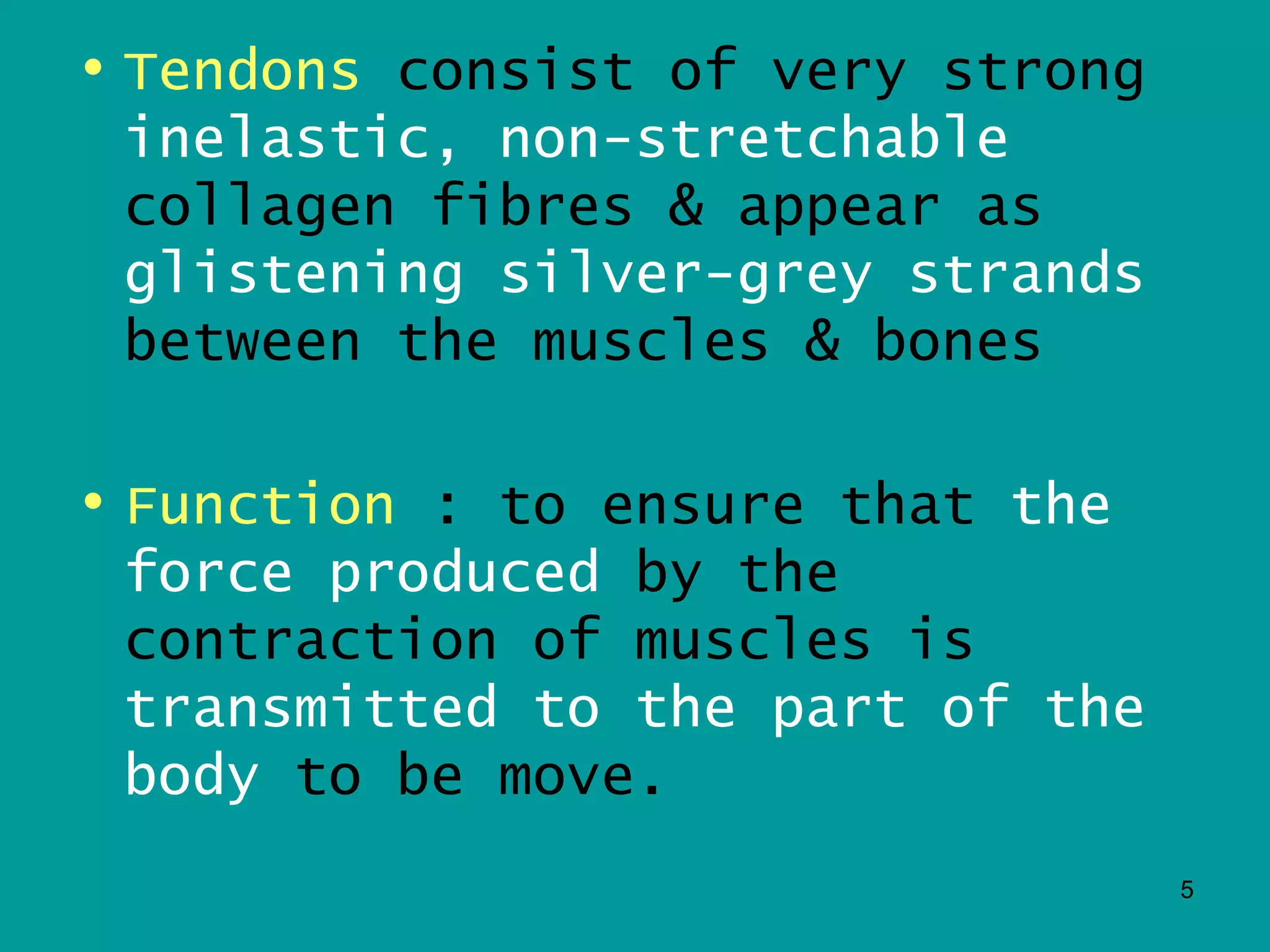 • Tendons consist of very strong
  inelastic, non-stretchable
  collagen fibres & appear as
  glistening silver-grey strands
  between the muscles & bones

• Function : to ensure that the
  force produced by the
  contraction of muscles is
  transmitted to the part of the
  body to be move.
                                   5
 