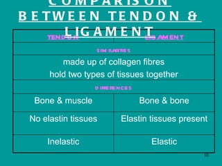 C O M P A R IS O N
B E TWE E N TE N D O N &
    TENDL N G A M E N T
        OI            LIGAM ENT
                  sim ilarities
         made up of collagen fibres
      hold two types of tissues together
                  d ifferences
  Bone & muscle              Bone & bone

 No elastin tissues     Elastin tissues present

     Inelastic                  Elastic
                                              10
 