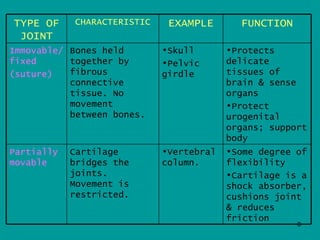 TYPE OF     CHARACTERISTIC    EXAMPLE       FUNCTION
 JOINT
Immovable/ Bones held        •Skull       •Protects
fixed      together by       •Pelvic      delicate
(suture)   fibrous           girdle       tissues of
           connective                     brain & sense
           tissue. No                     organs
           movement                       •Protect
           between bones.                 urogenital
                                          organs; support
                                          body
Partially   Cartilage        •Vertebral   •Some degree of
movable     bridges the      column.      flexibility
            joints.                       •Cartilage is a
            Movement is                   shock absorber,
            restricted.                   cushions joint
                                          & reduces
                                          friction
                                                       8
 