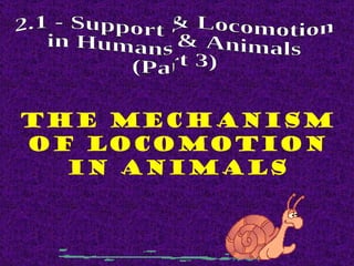THE MECHANISM
OF LOCOMOTION
  IN ANIMALS
 