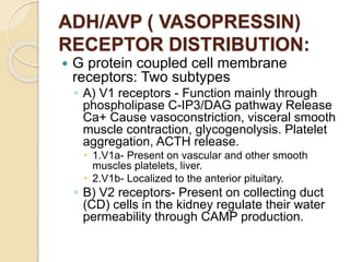 ADH/AVP ( VASOPRESSIN)
RECEPTOR DISTRIBUTION:
 G protein coupled cell membrane
receptors: Two subtypes
◦ A) V1 receptors - Function mainly through
phospholipase C-IP3/DAG pathway Release
Ca+ Cause vasoconstriction, visceral smooth
muscle contraction, glycogenolysis. Platelet
aggregation, ACTH release.
 1.V1a- Present on vascular and other smooth
muscles platelets, liver.
 2.V1b- Localized to the anterior pituitary.
◦ B) V2 receptors- Present on collecting duct
(CD) cells in the kidney regulate their water
permeability through CAMP production.
 