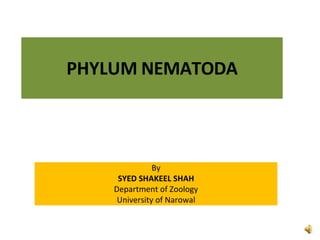 PHYLUM NEMATODA
By
SYED SHAKEEL SHAH
Department of Zoology
University of Narowal
 