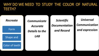 Color of Natural Teeth and shade selection in dentistry. | PPTX