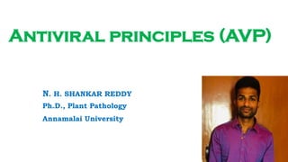 Antiviral principles (AVP)
N. H. SHANKAR REDDY
Ph.D., Plant Pathology
Annamalai University
 