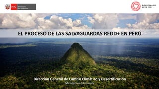 PERÚ LIMPIO
PERÚ NATURAL
Dirección General de Cambio Climático y Desertificación
Ministerio del Ambiente
EL PROCESO DE LAS SALVAGUARDAS REDD+ EN PERÚ
 