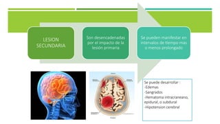LESION
SECUNDARIA
Son desencadenadas
por el impacto de la
lesión primaria
Se pueden manifestar en
intervalos de 4empo mas
o menos prolongado
Se puede desarrollar :
-Edemas
-Sangrados
-Hematoma intracraneano,
epidural, o subdural
-Hipotension cerebral
 