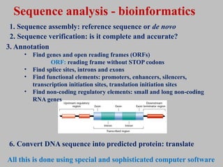 21-22_Genomics.pptx for geenetics class yay | PPTX