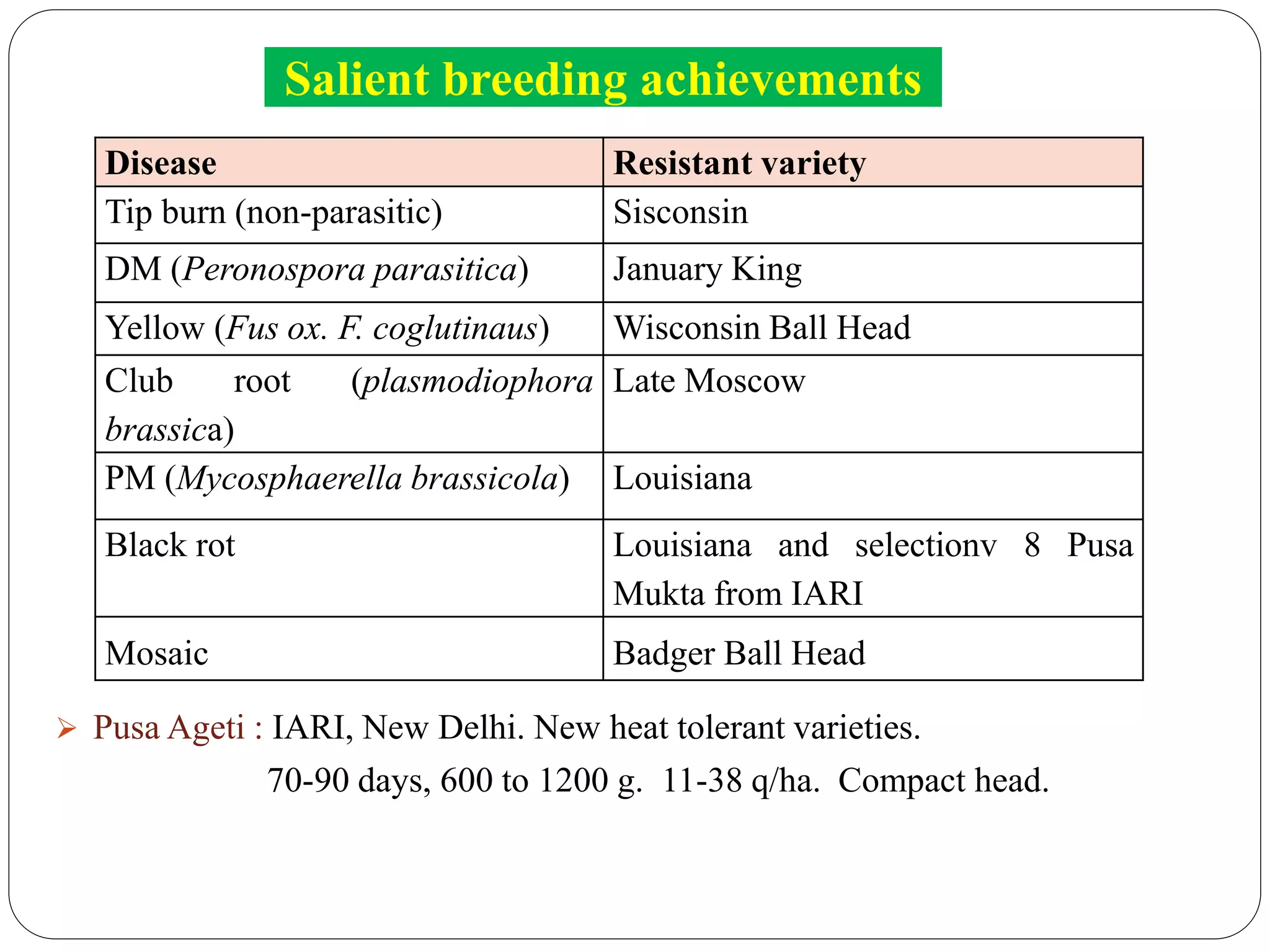 Disease Resistant variety
Tip burn (non-parasitic) Sisconsin
DM (Peronospora parasitica) January King
Yellow (Fus ox. F. coglutinaus) Wisconsin Ball Head
Club root (plasmodiophora
brassica)
Late Moscow
PM (Mycosphaerella brassicola) Louisiana
Black rot Louisiana and selectionv 8 Pusa
Mukta from IARI
Mosaic Badger Ball Head
Salient breeding achievements
 Pusa Ageti : IARI, New Delhi. New heat tolerant varieties.
70-90 days, 600 to 1200 g. 11-38 q/ha. Compact head.
 
