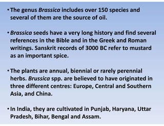 •The genus Brassica includes over 150 species and
several of them are the source of oil.
•Brassica seeds have a very long history and find several
references in the Bible and in the Greek and Roman
writings. Sanskrit records of 3000 BC refer to mustard
as an important spice.
•The plants are annual, biennial or rarely perennial
herbs. Brussica spp. are believed to have originated in
three different centres: Europe, Central and Southern
Asia, and China.
•In India, they are cultivated in Punjab, Haryana, Uttar
Pradesh, Bihar, Bengal and Assam.
 