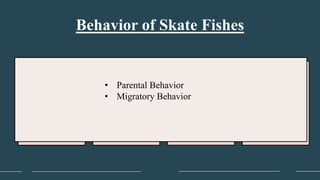 Behavior of Skate Fishes
• Parental Behavior
• Migratory Behavior
 