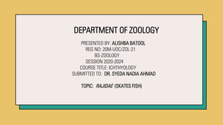 DEPARTMENT OF ZOOLOGY
PRESENTED BY: ALISHBA BATOOL
REG NO: 20M-UOC/ZOL-21
BS-ZOOLOGY
SESSION 2020-2024
COURSE TITLE: ICHTHYOLOGY
SUBMITTED TO: DR. SYEDA NADIA AHMAD
TOPIC: RAJIDAE (SKATES FISH)
 