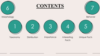 CONTENTS
1 2 3 4 5
Taxonomy Distribution Importance Interesting
Facts
Unique Facts
6
Morphology
7
Behavior
 