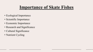 Importance of Skate Fishes
• Ecological Importance
• Scientific Importance
• Economic Importance
• Research and Significance
• Cultural Significance
• Nutrient Cycling
 