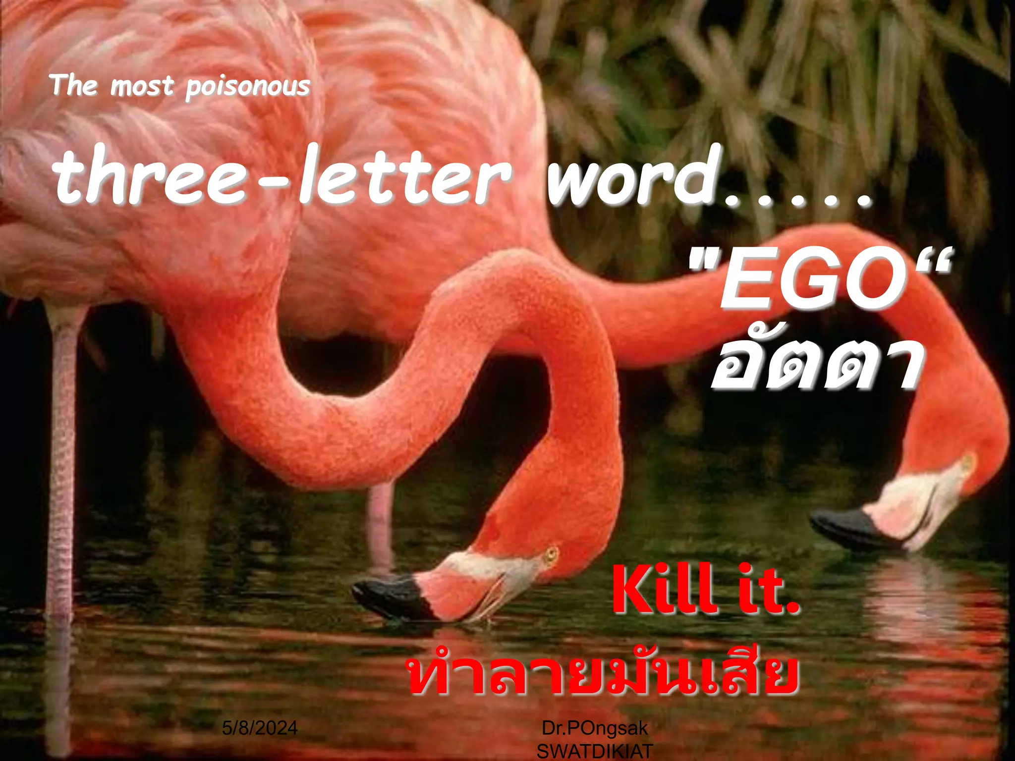 "EGO“
อัตตำ
Kill it.
ทำลำยมันเสีย
The most poisonous
three-letter word.....
5/8/2024 Dr.POngsak
SWATDIKIAT
 