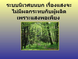 ระบบนิเวศบนบก เรื่องแสงจะไม่มีผลกระทบกับผู้ผลิต เพราะแสงพอเพียง  