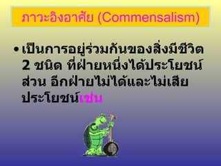 ภาวะอิงอาศัย  ( Commensalism) เป็นการอยู่ร่วมกันของสิ่งมีชีวิต  2   ชนิด ที่ฝ่ายหนึ่งได้ประโยชน์ส่วน อีกฝ่ายไม่ได้และไม่เสียประโยชน์ เช่น 