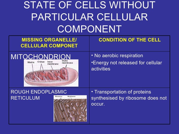 form4(BIOLOGY) chap 2 pt3