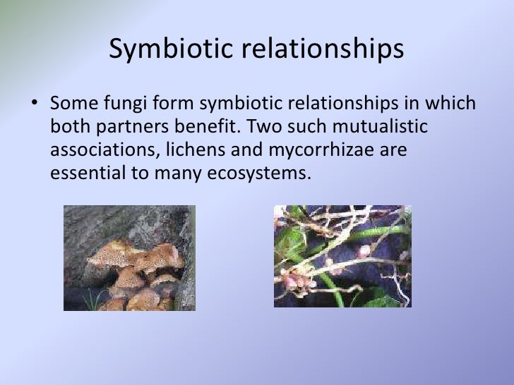 21 3 ecology of fungi teaching plan outline